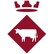 Logo oficial de Decidim Vacarisses!